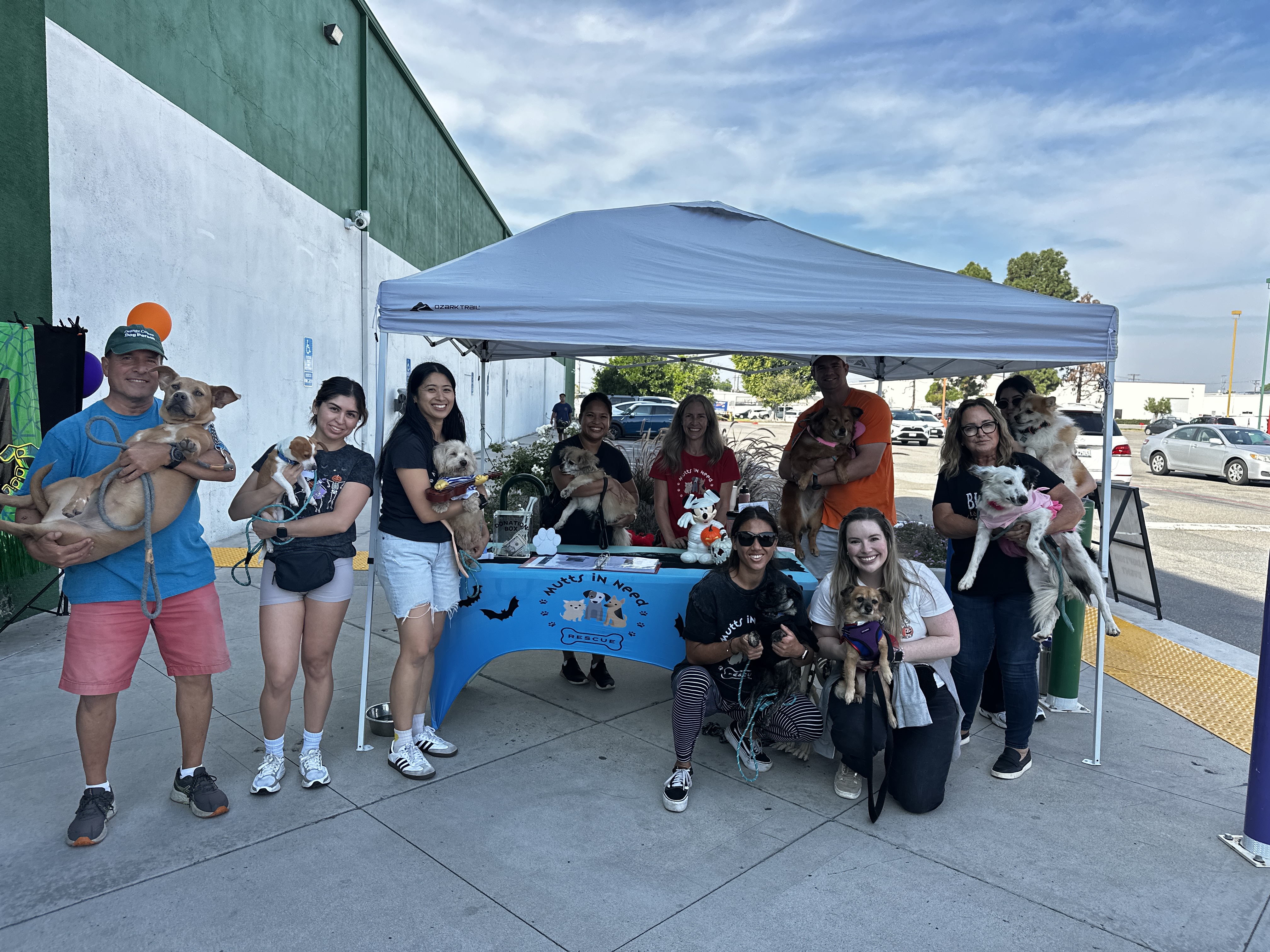 Adoption Event at Pet Supplies Plus