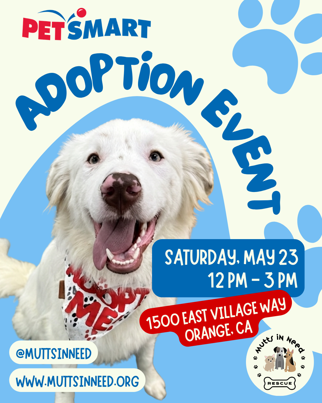 Adoption Event at PetSmart